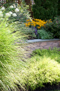 a beautiful Shoreline planting bed